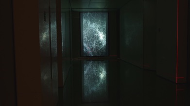 L1390275s