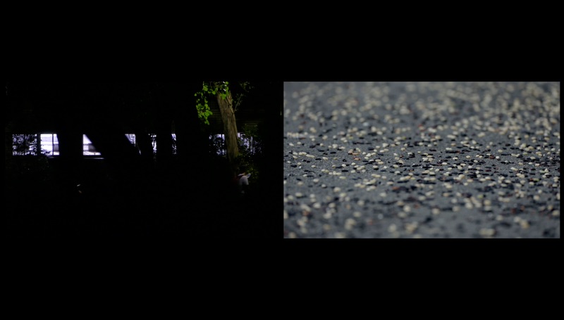 vlcsnap-2016-09-07-23h39m00s907