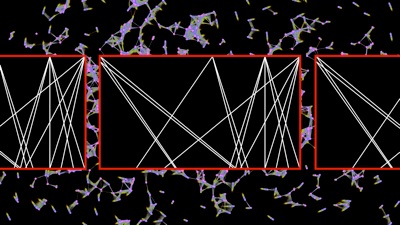 vlcsnap-2020-05-11-16h49m03s419