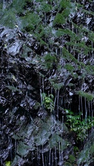 waterfall-still-012