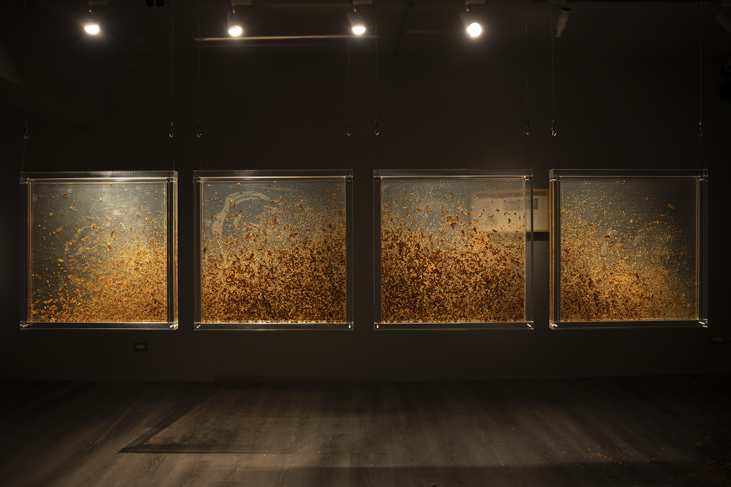 220312-1323-N2Z_0595-HDR