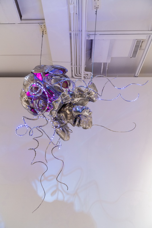 尋找曼荼羅–黯黑的放浪者 ：奧茲圓盤水母