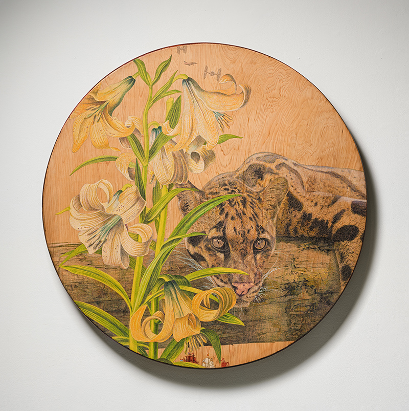 尋找曼荼羅｜花落春未盡–木質材料｜雲豹與百合M2301