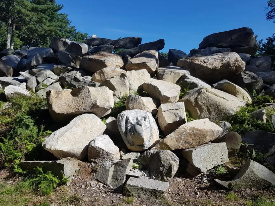 41637570_2139716312719434_1697960254697897984_n