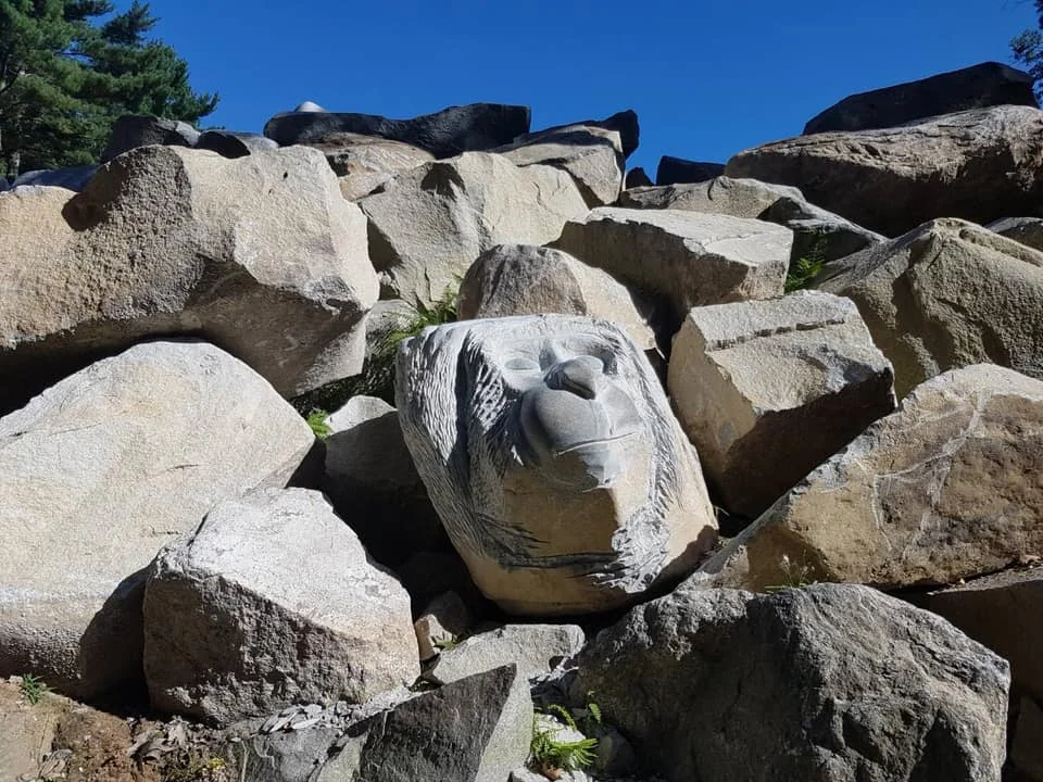 41665342_2139716319386100_5405009492096057344_n