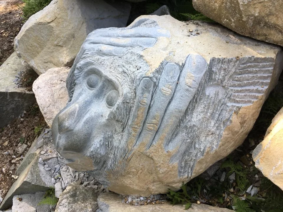 41671166_2139711719386560_5479206181710856192_n