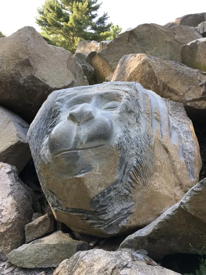 41671477_2139711726053226_7465609486456061952_n