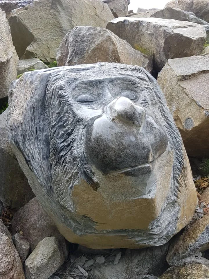 41701001_2139713456053053_5673509308180987904_n