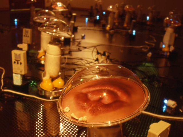 四點四十八分之一