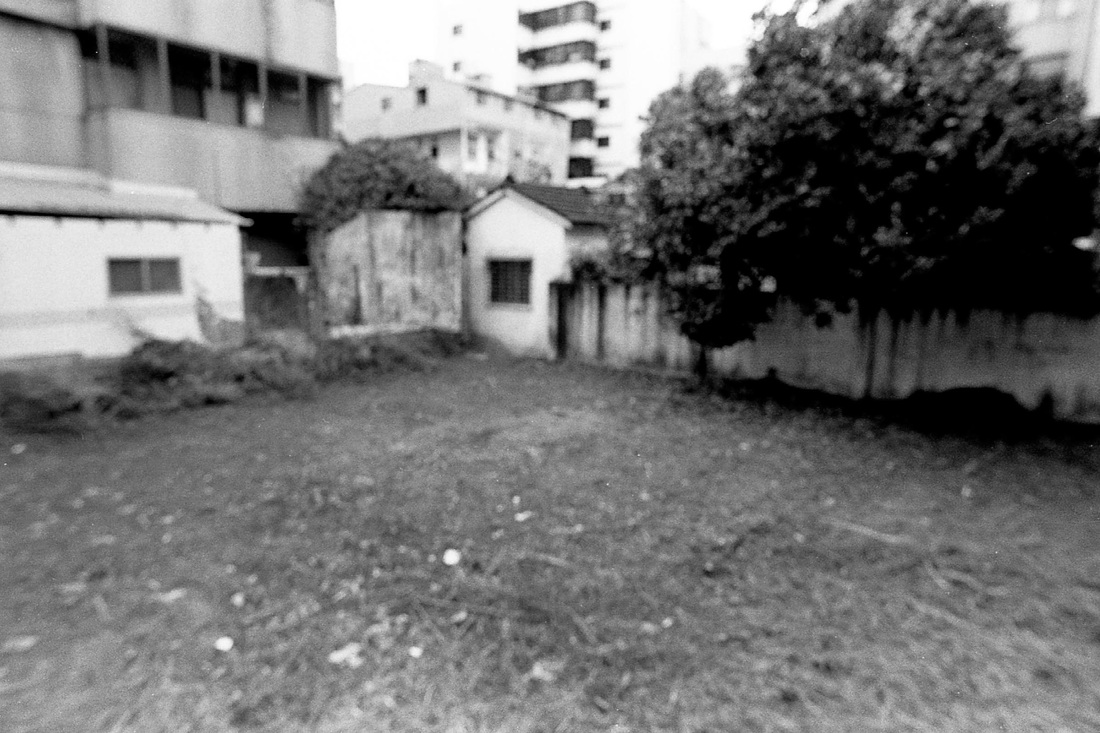 4597645_orig
