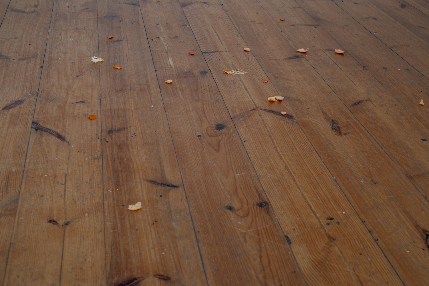 52774254437_e3b0dd5c94_o