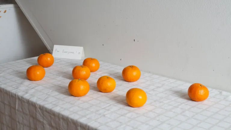 52775271278_8ea7cb7b05_o-edited