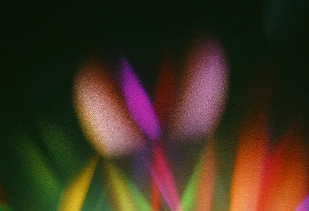 53