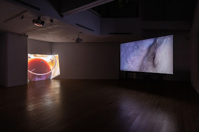 6000px_20220219_許哲瑜個展_1173