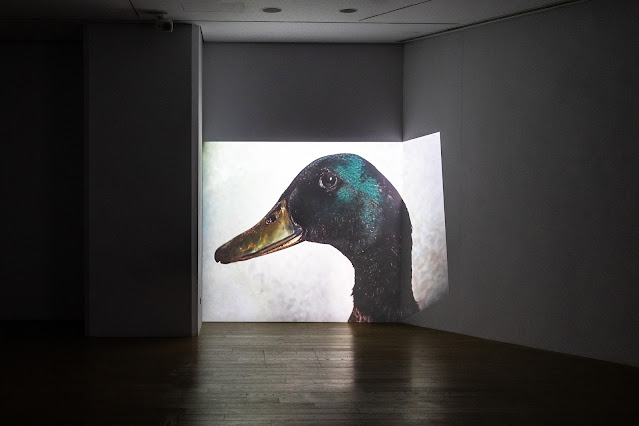 6000px_20220219_許哲瑜個展_1188