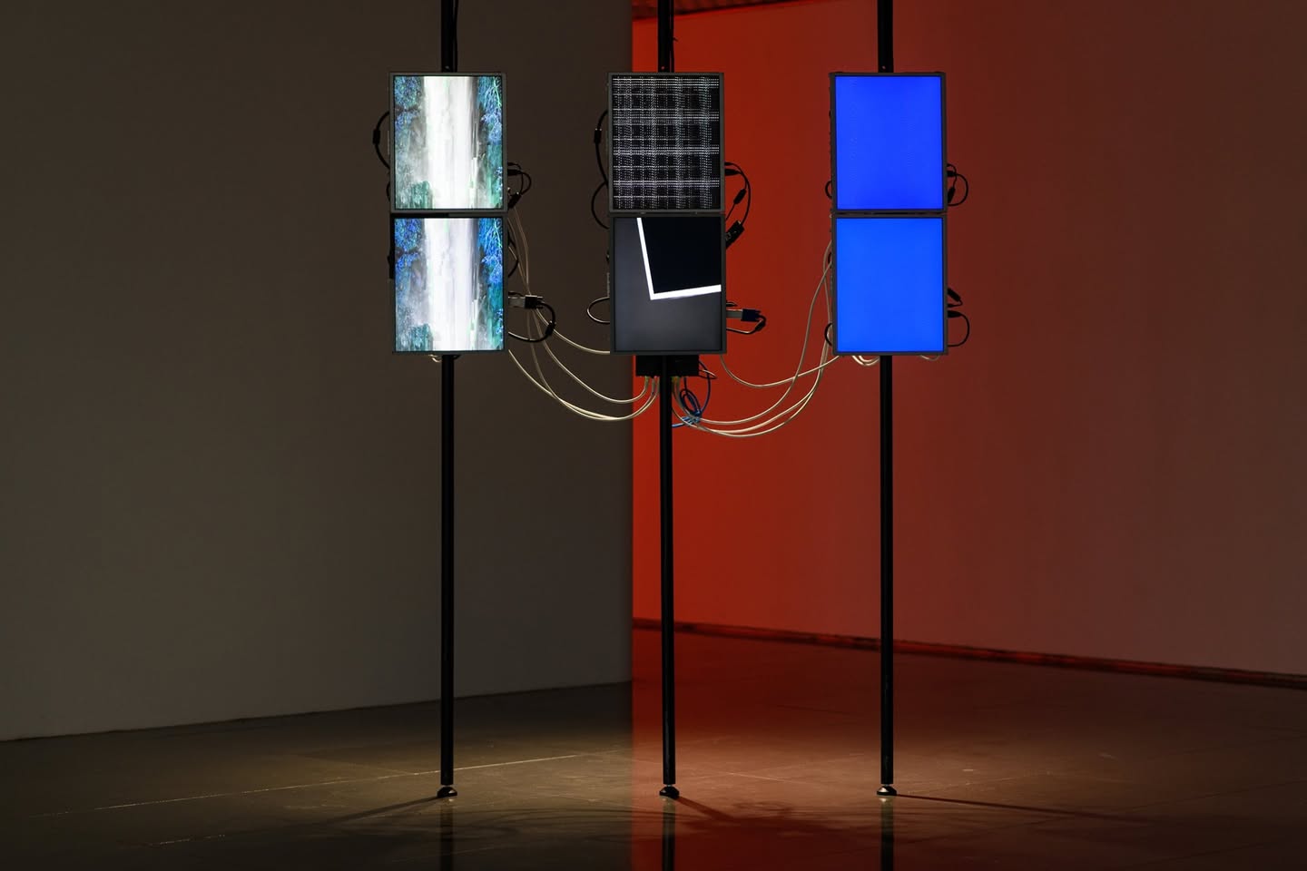 61521977_2219636231451245_3045467606292103168_n