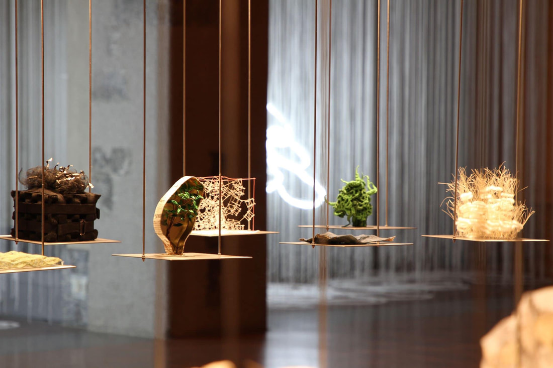 87381156-2973723026013685-2679245803775590400-o_orig