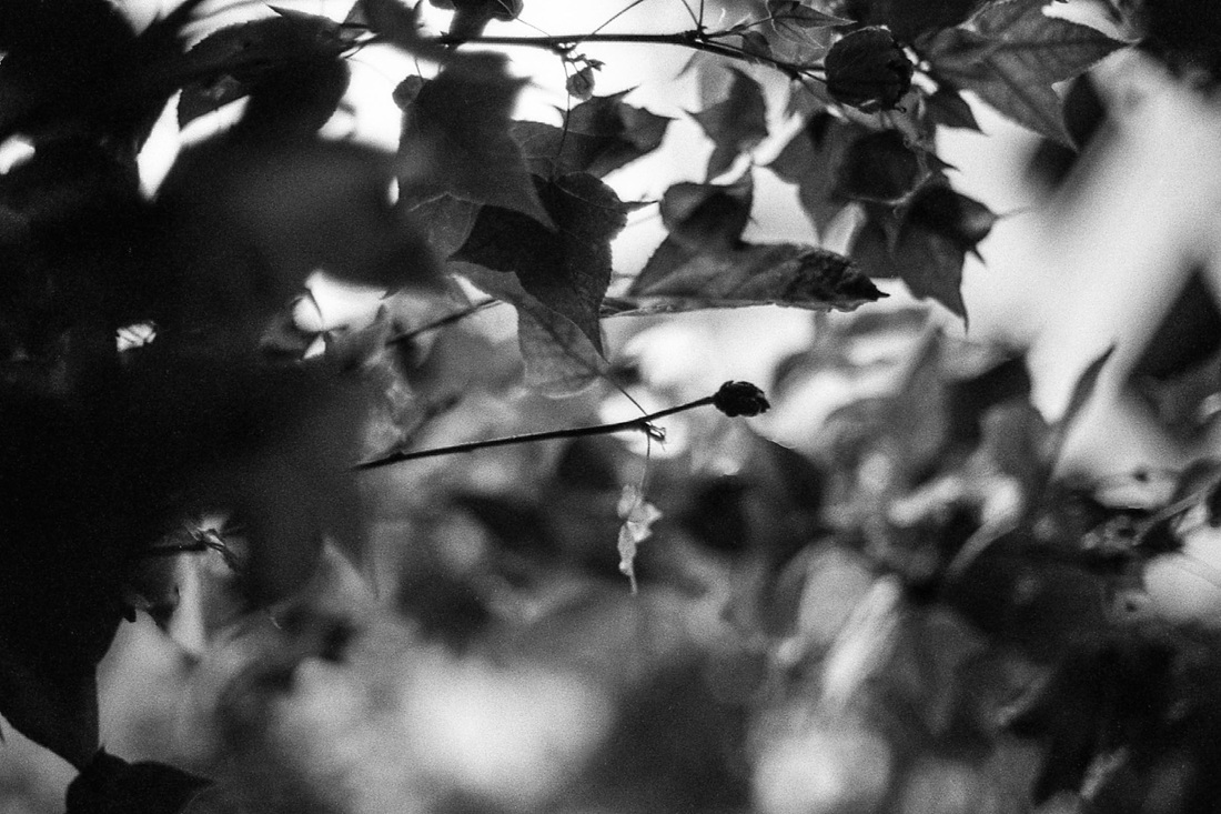 9031017_orig