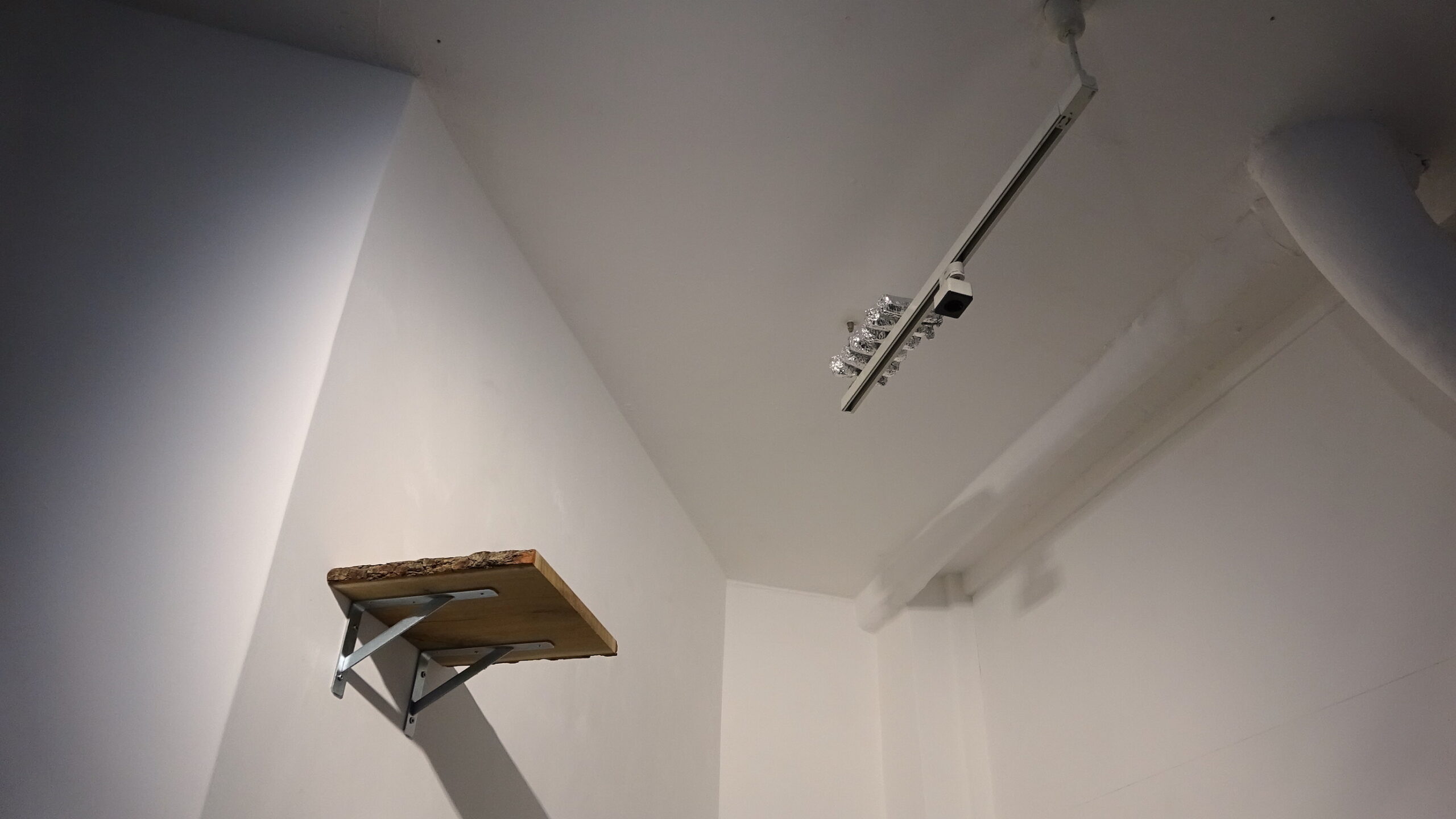 DSC01329拷貝-scaled