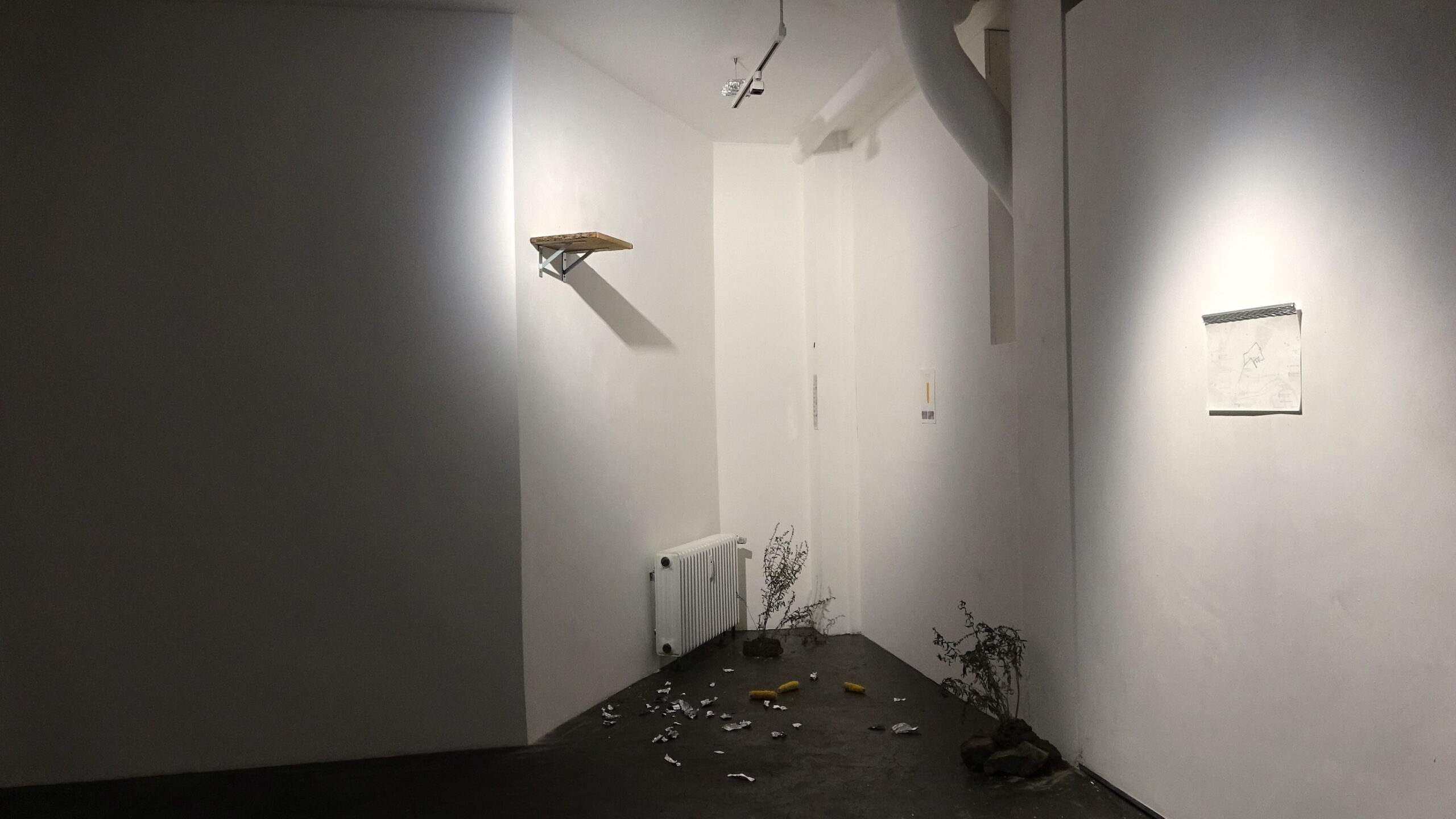 DSC01423拷貝-scaled