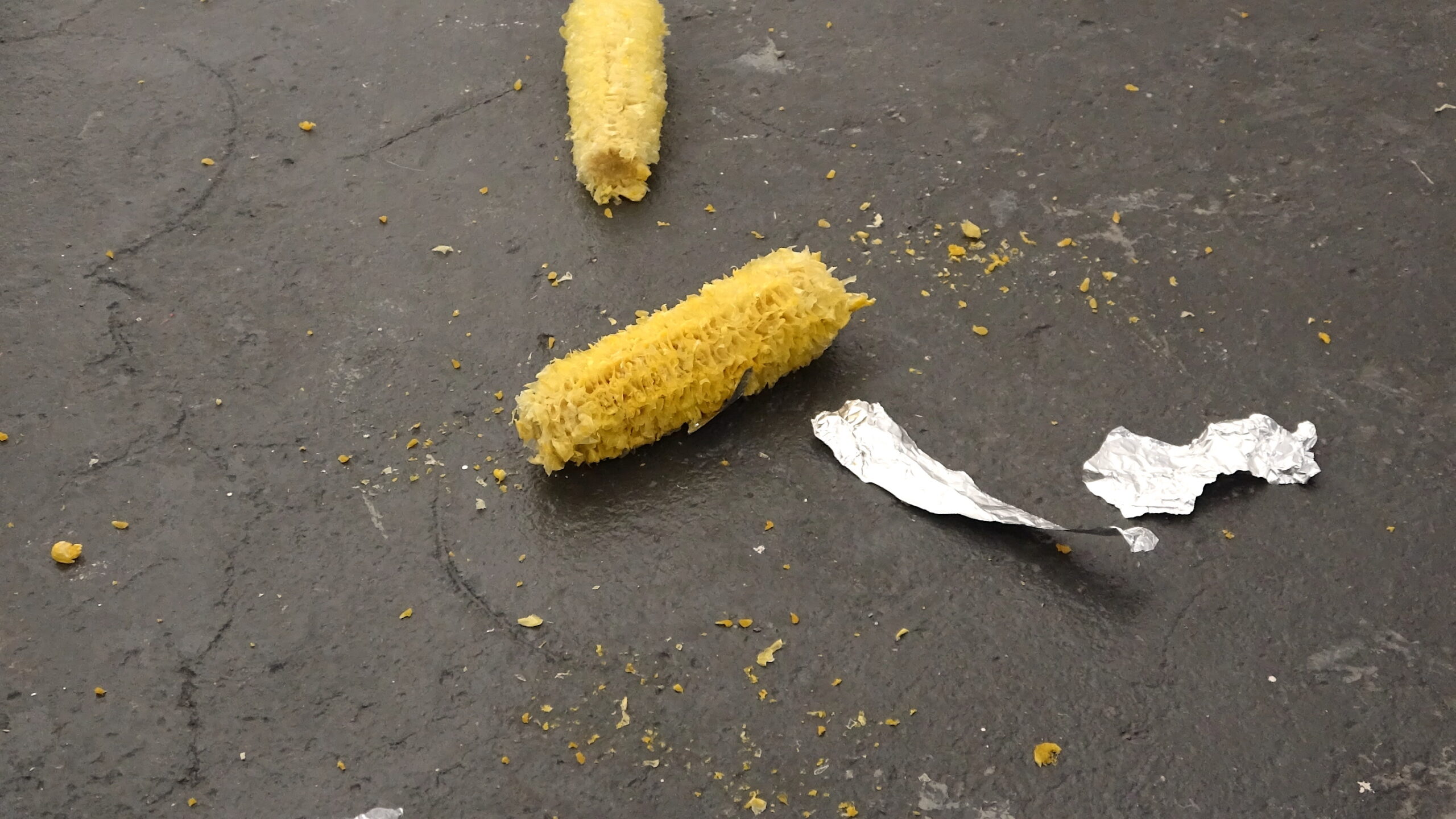 DSC01438拷貝-scaled