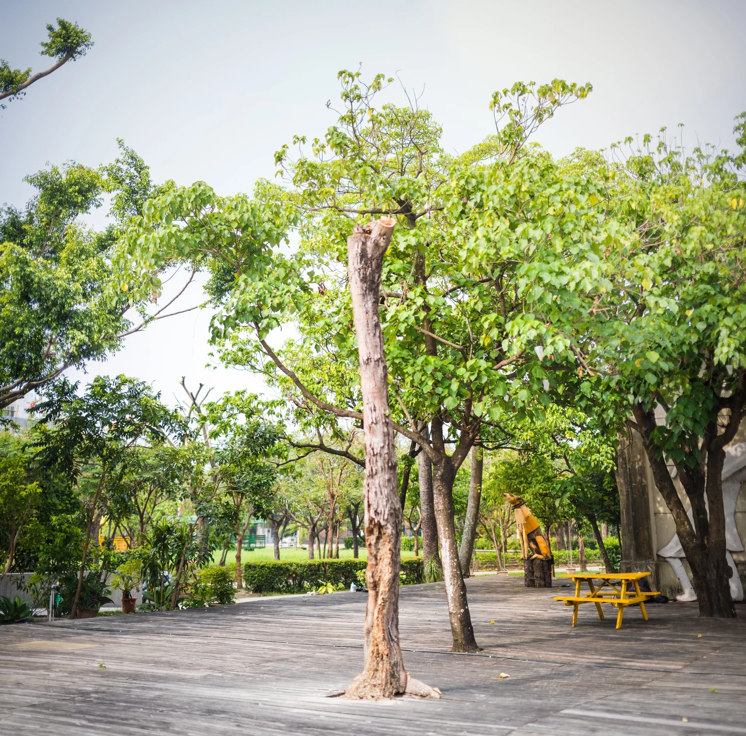 DSC_8291-Edit2