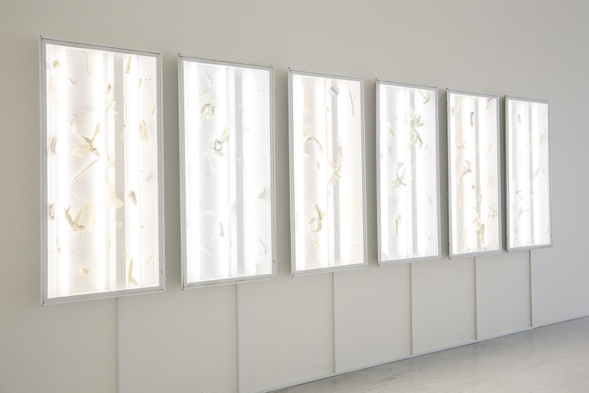 Gallery3B_091_1