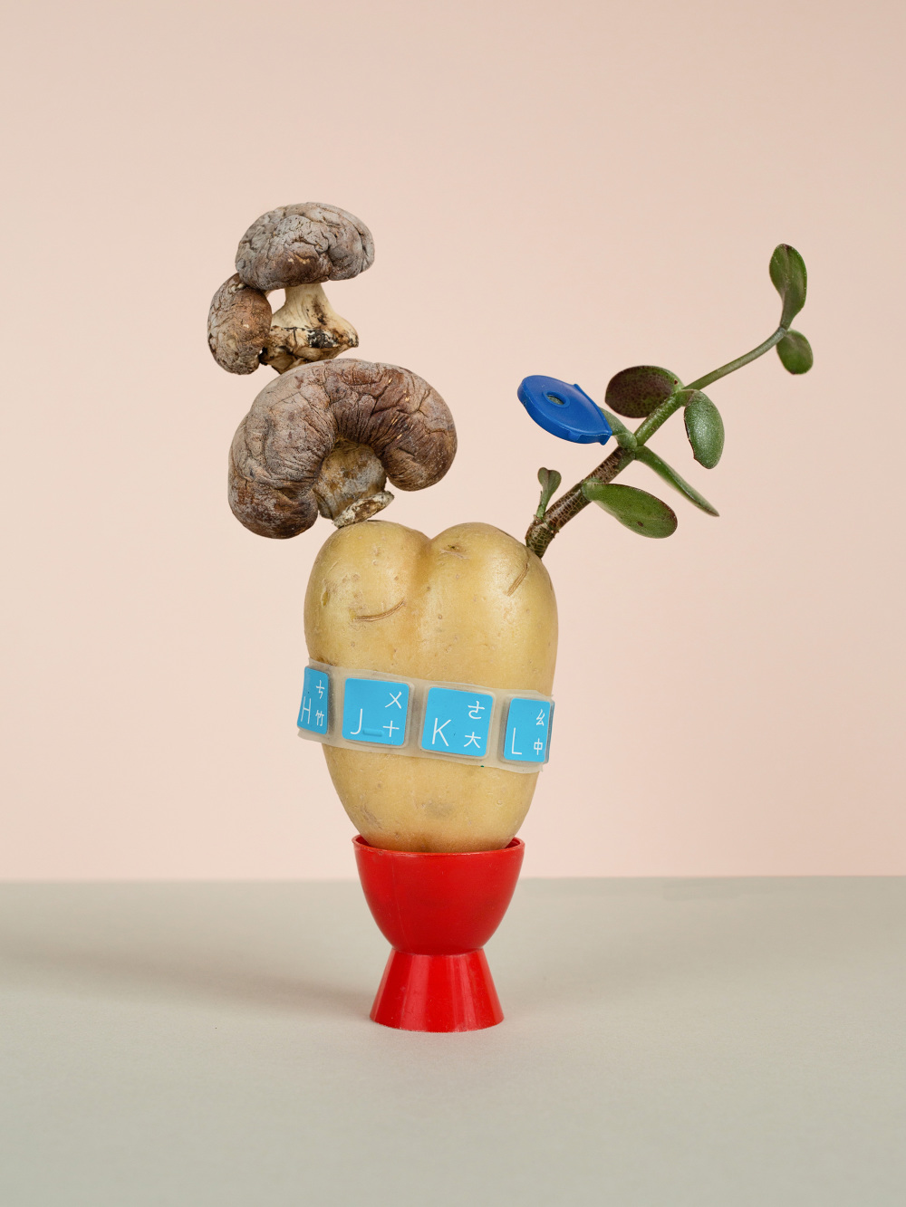 Little-Odd-Things-No.7_1000