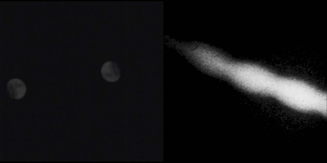Moon-Salt-04152022.00_00_59_19.Still001_1340_c