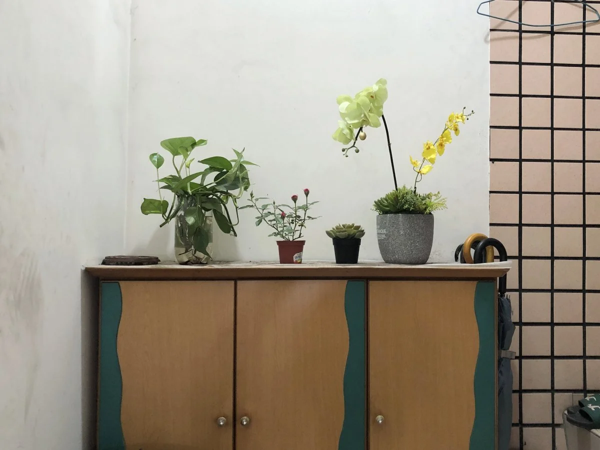 SS20230714
