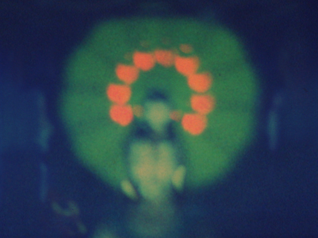 Sequence-07.00_01_21_16.Still008_1340_c
