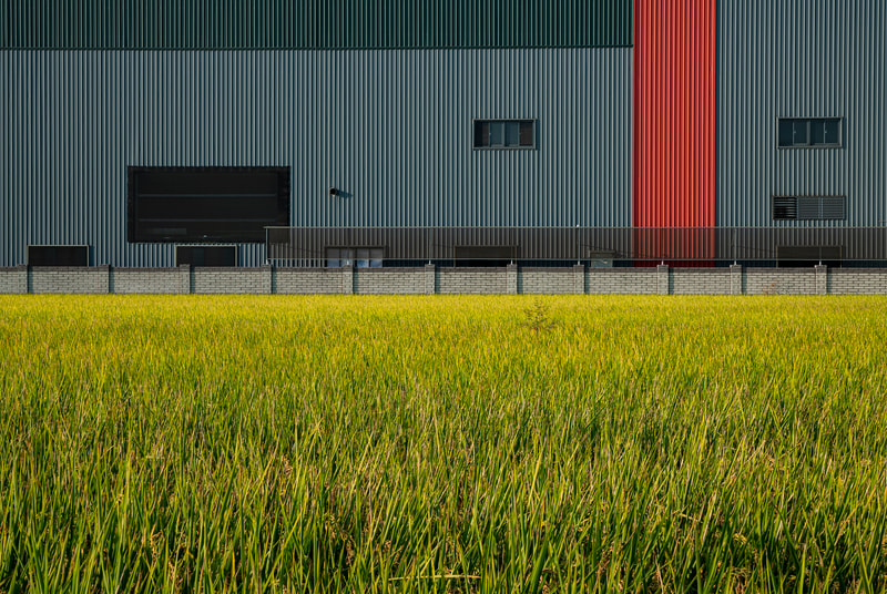 dsc4437-45x30
