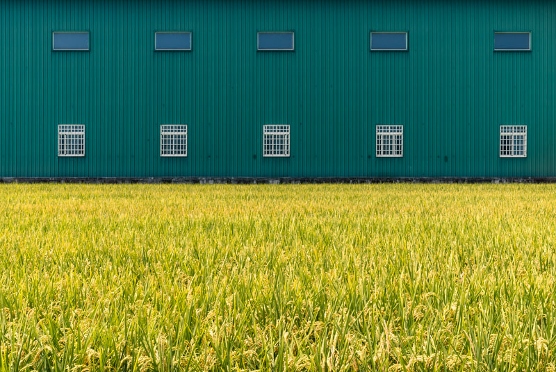 dsc6521-45x30