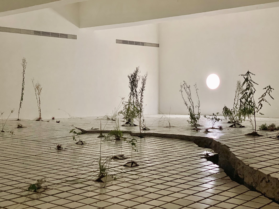 exhibition-record04_orig