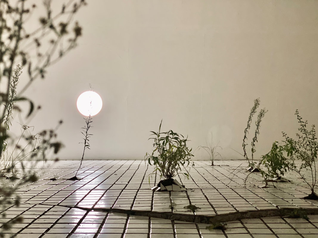 exhibition-record05_orig