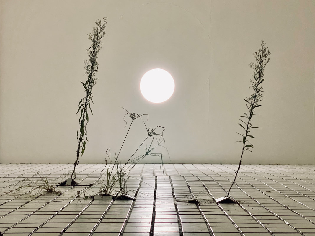 exhibition-record09_orig