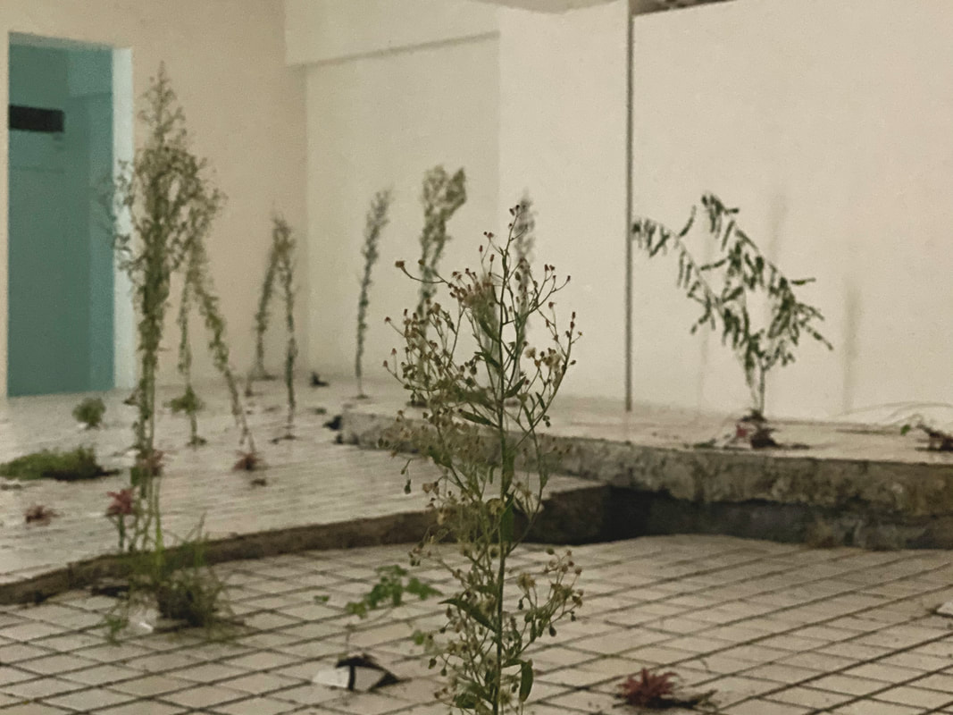 exhibition-record11_orig