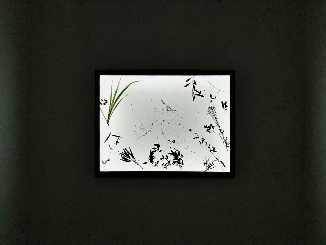 exhibition-record21_orig