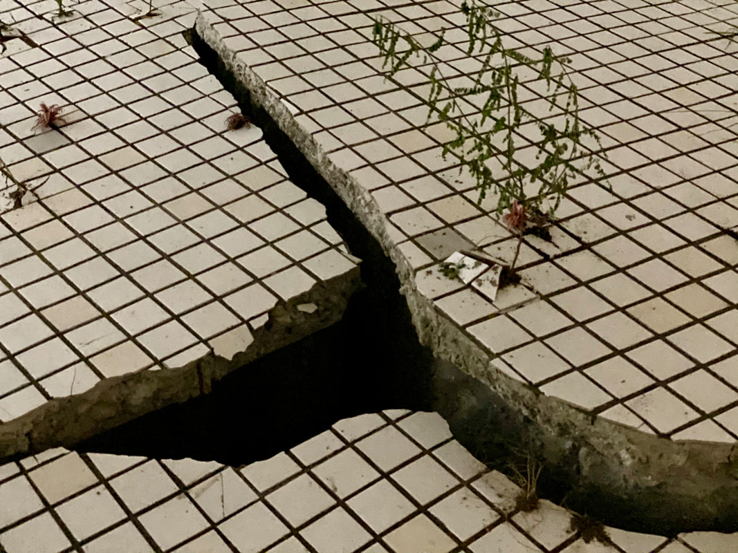 exhibition-record6_orig