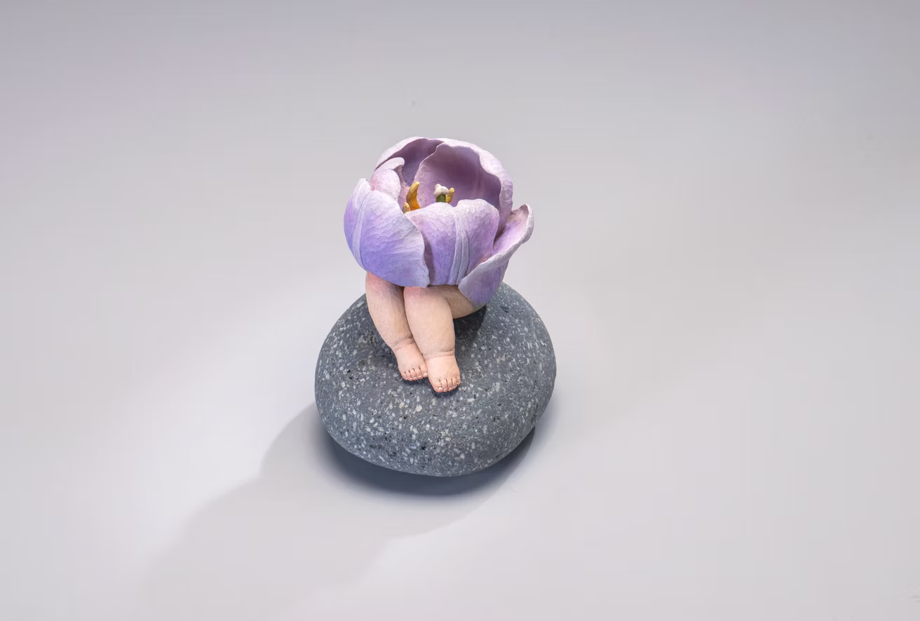鬱金香美人