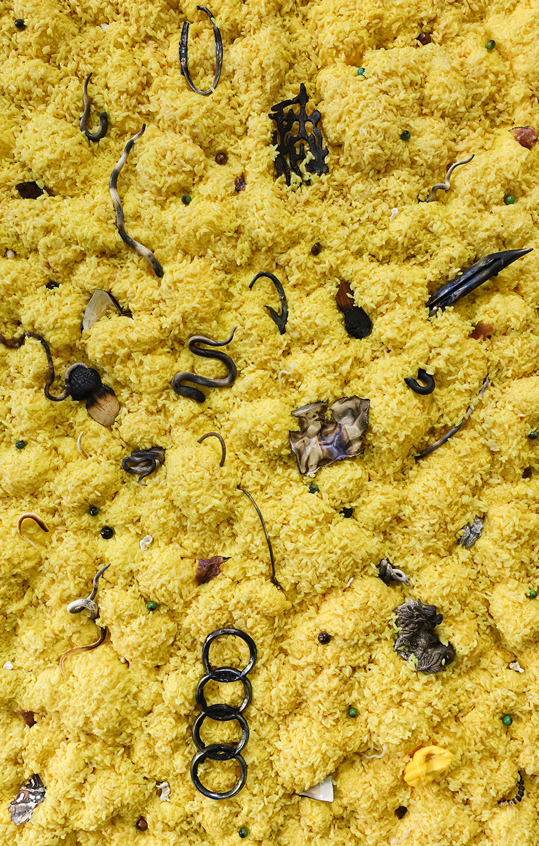 friedricedetail