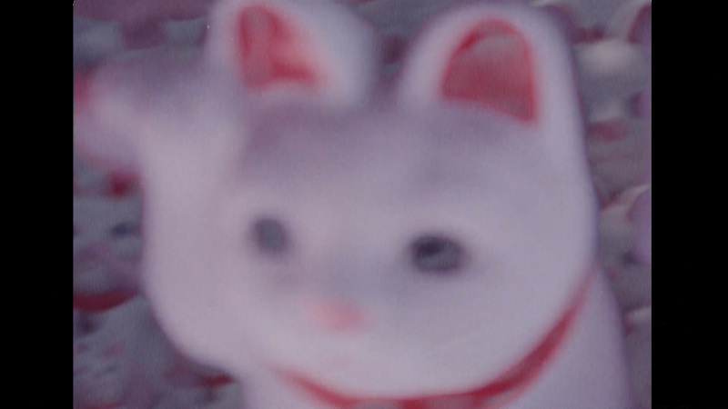 fur-film-14_eng-sub_h264_20210629.00_06_08_14.Still001_800
