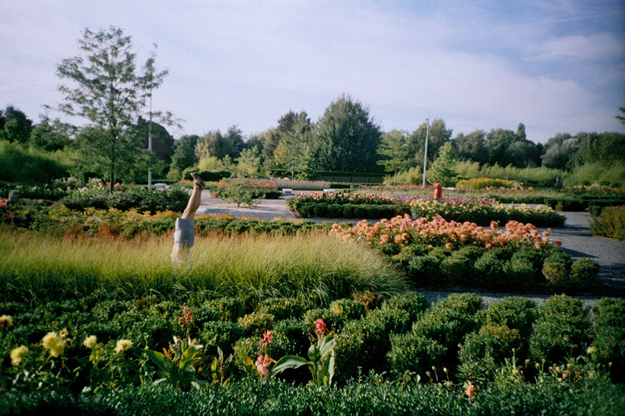 hello-hand-2-900_900