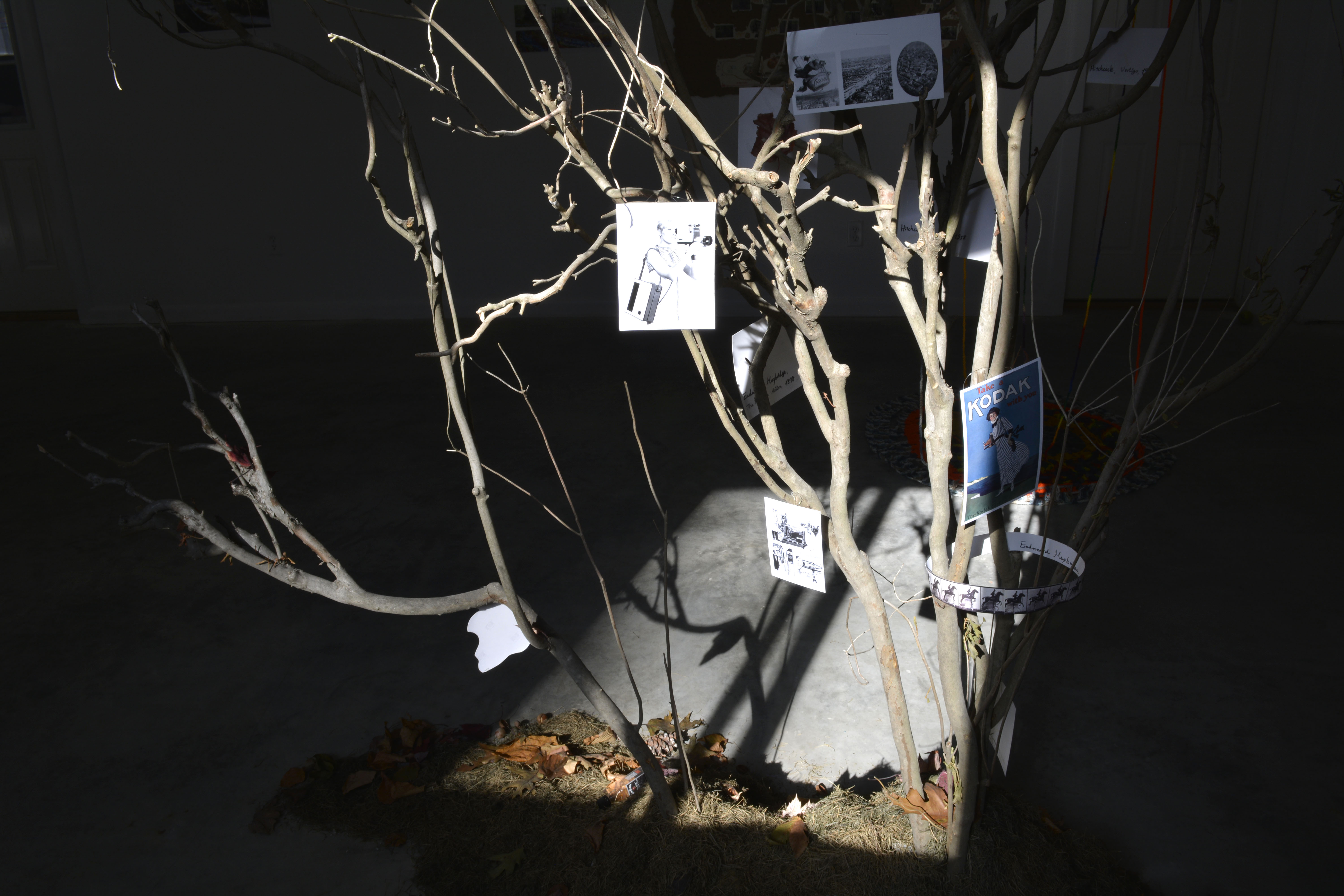 iTree-2