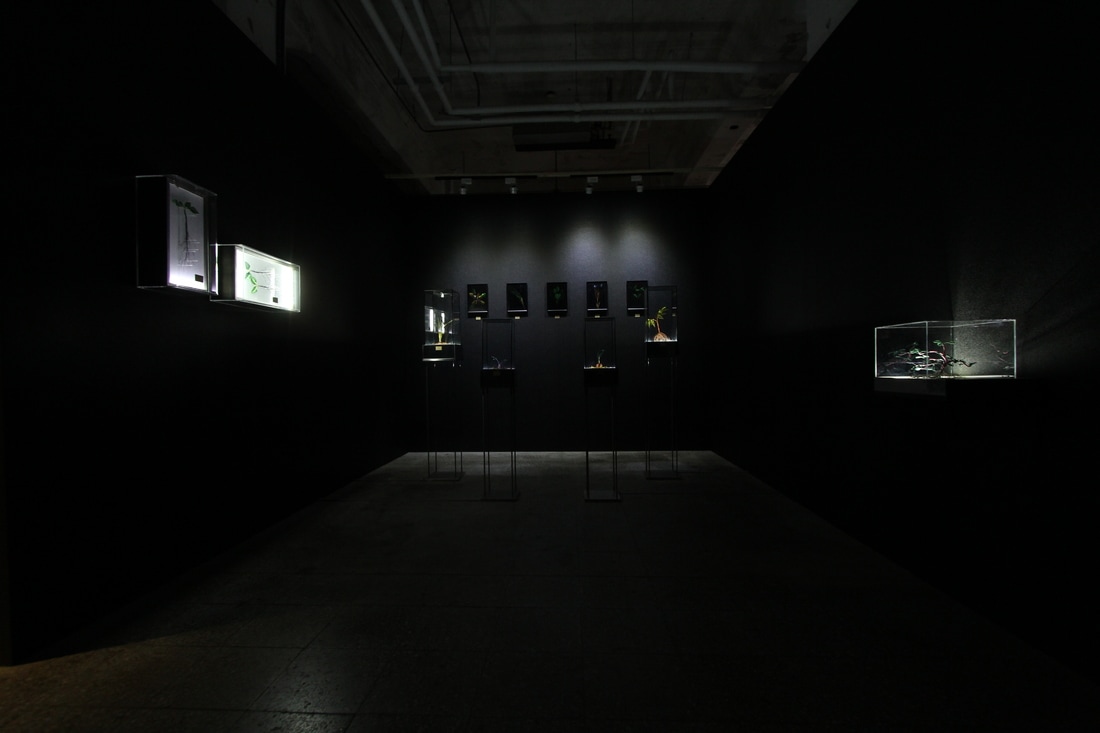 img-0109_orig