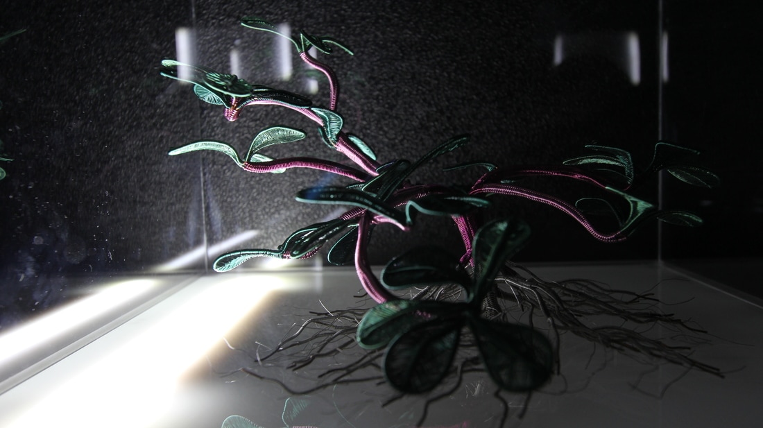 img-0115_orig