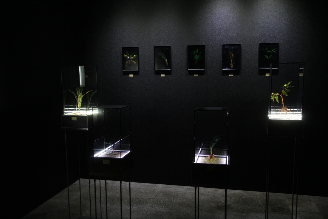 img-0149_orig