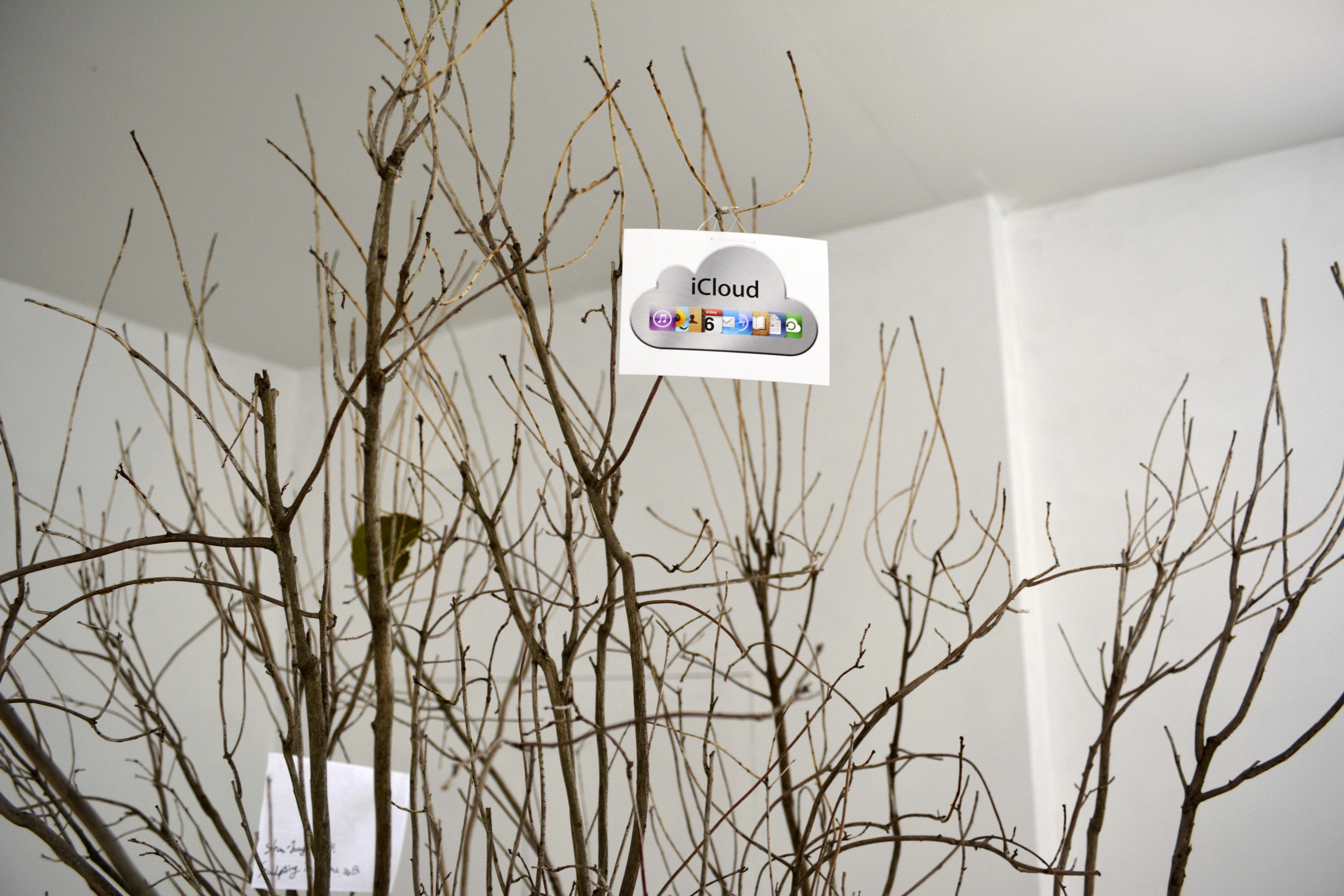 itree-icloud