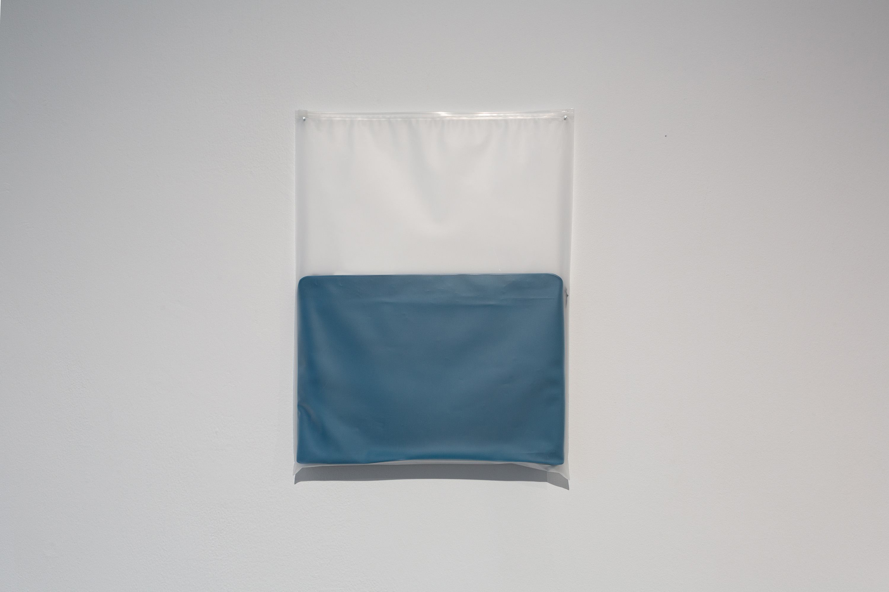 lai-20240612-27