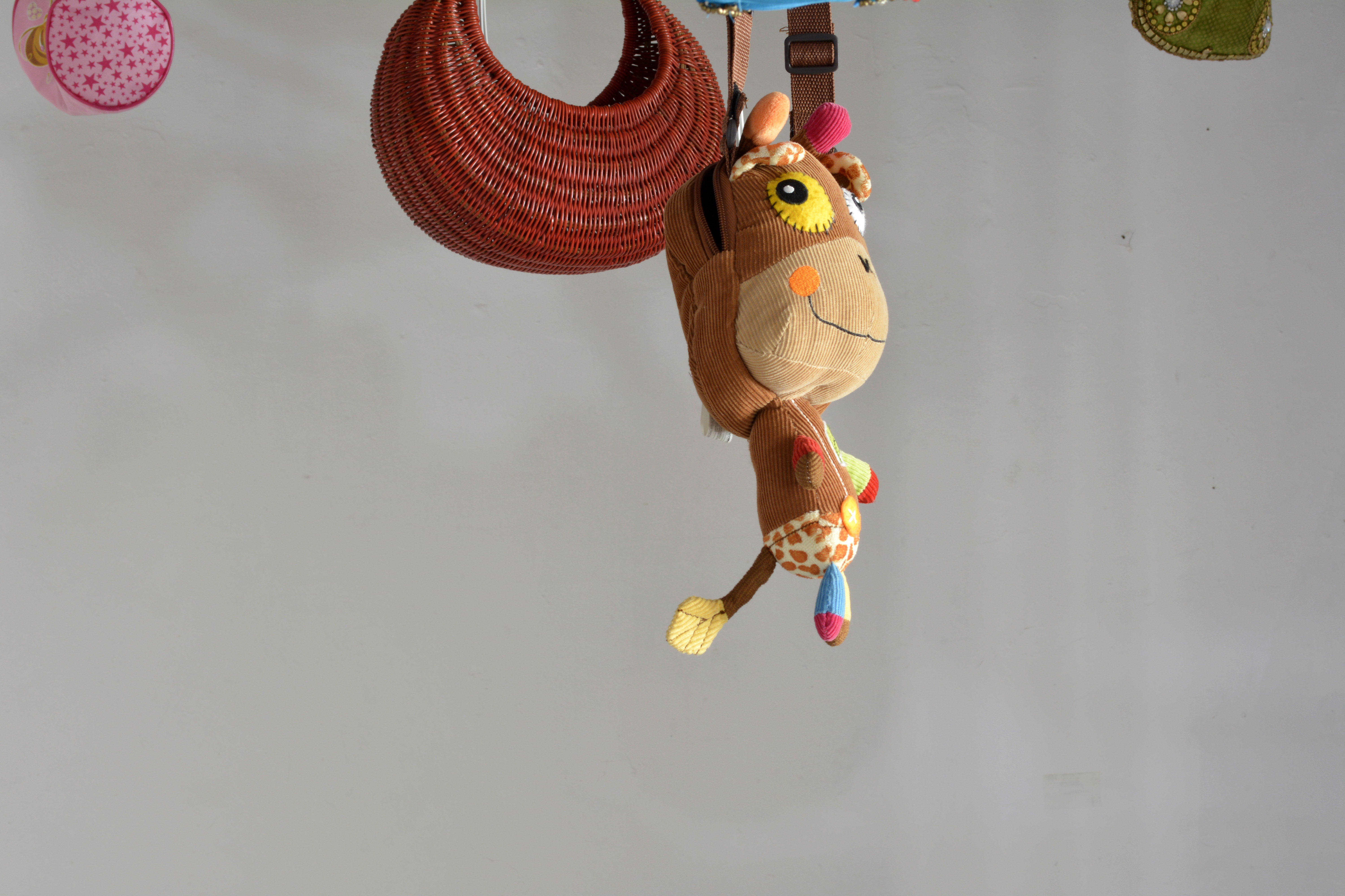 monkey